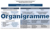 image-acceuil_Organigramme.jpg