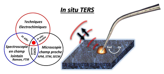 In situ TERS